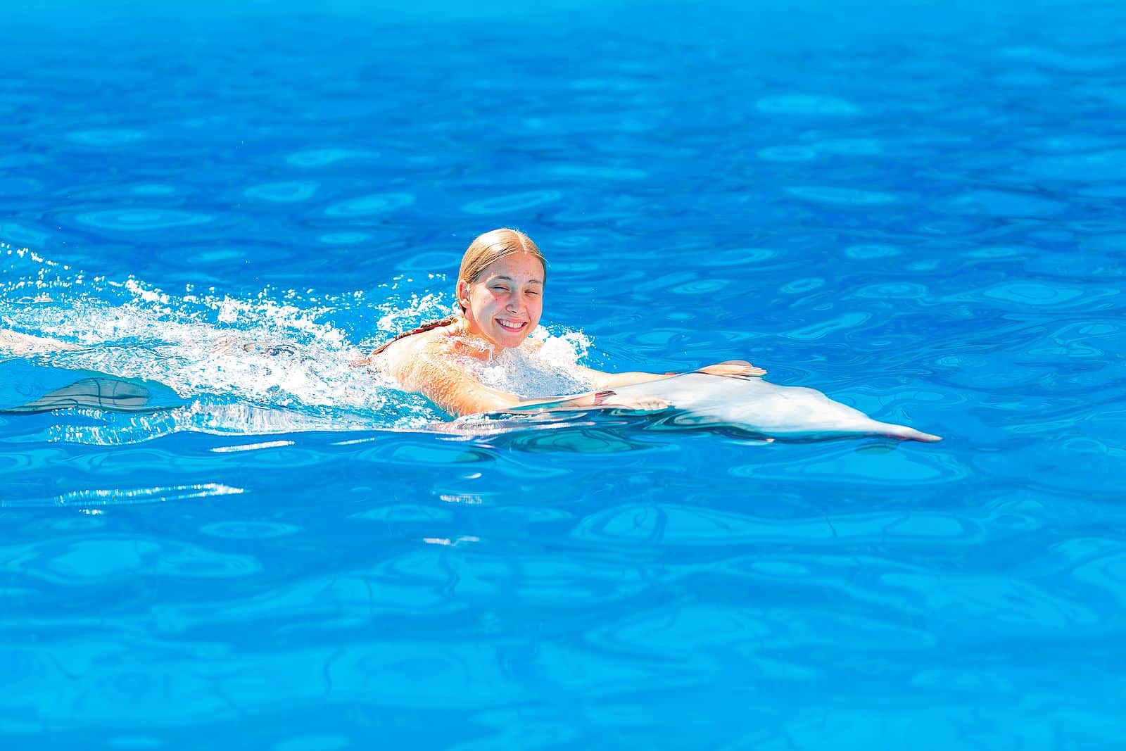 Save More and Travel Better with Boardwalk Resort Vacations (1) Save More and Travel Better with Boardwalk Resort Vacations (1)